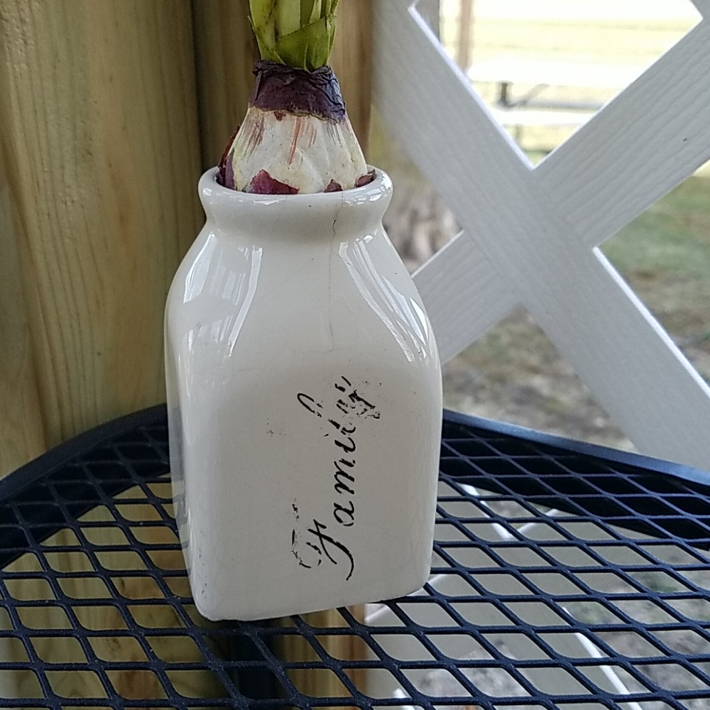 Spring Flower & Vase - Picture 2 of 6